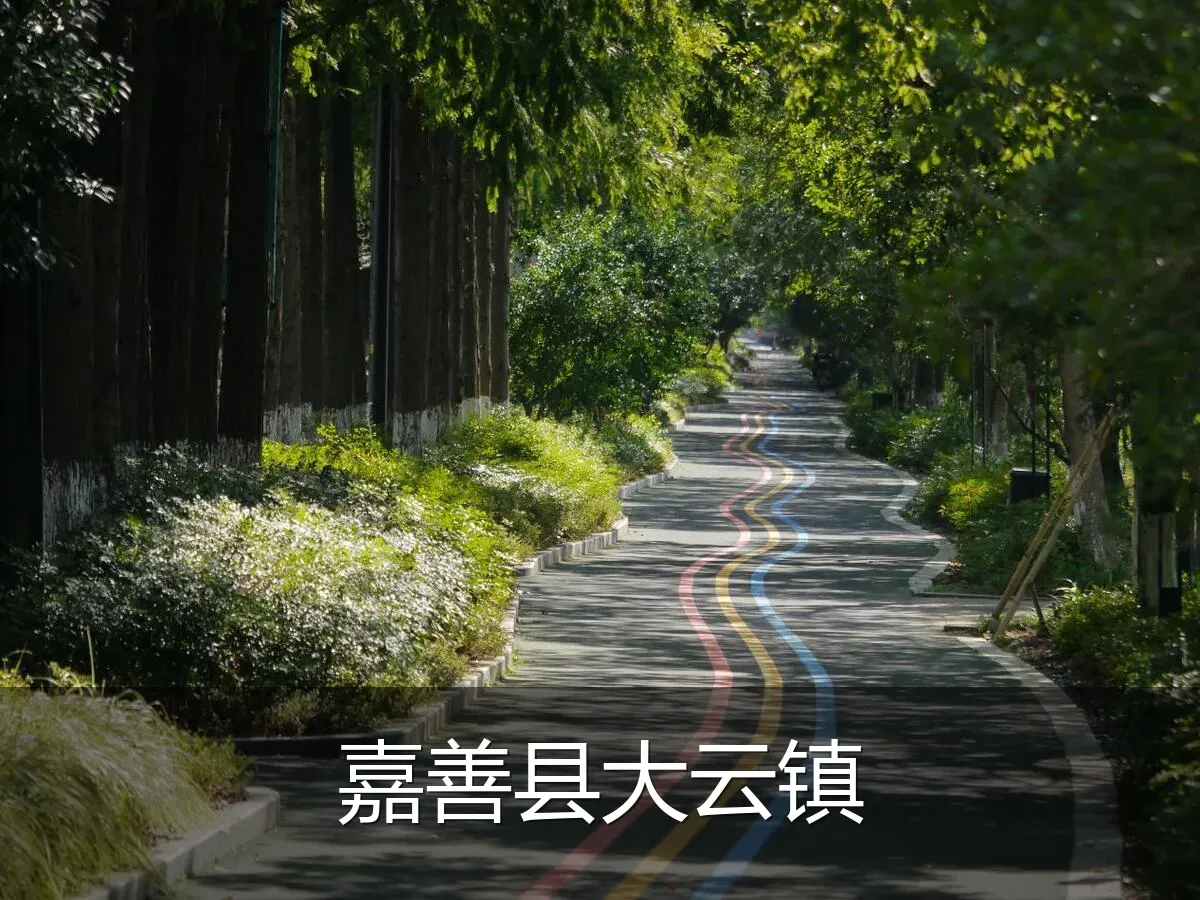 嘉善县大云镇