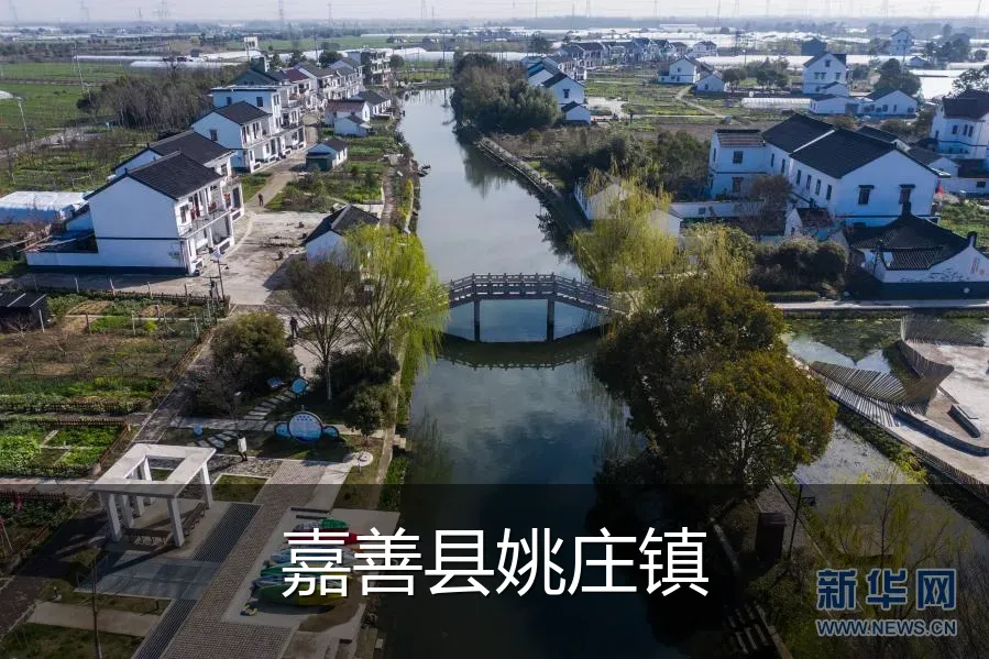 嘉善县姚庄镇